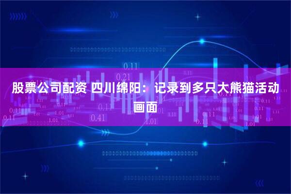 股票公司配资 四川绵阳：记录到多只大熊猫活动画面