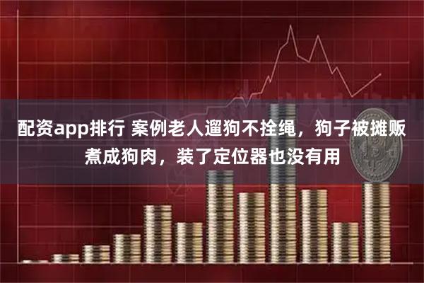配资app排行 案例老人遛狗不拴绳，狗子被摊贩煮成狗肉，装了定位器也没有用