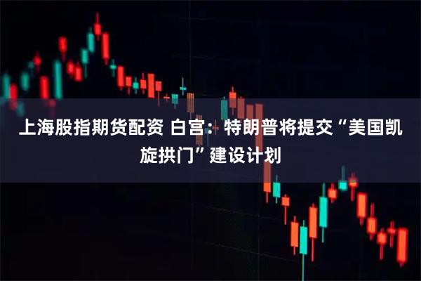 上海股指期货配资 白宫:特朗普将提交“美国凯旋拱门”建设计划