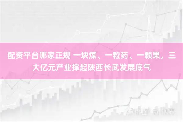 配资平台哪家正规 一块煤、一粒药、一颗果，三大亿元产业撑起陕西长武发展底气